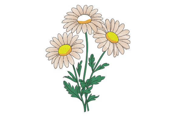 Blooming Daisies: A Boutique Sweatshirt Designer’s Real-World Review