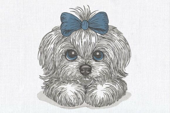 Cute Fluffy Puppy Maltese