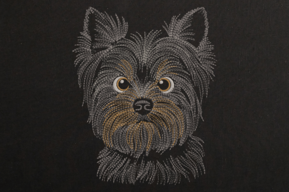 Dog Yorkshire Terrier Head