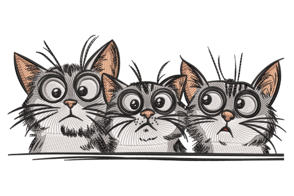 Funny Curious Cats: A Designer’s Real-World Review